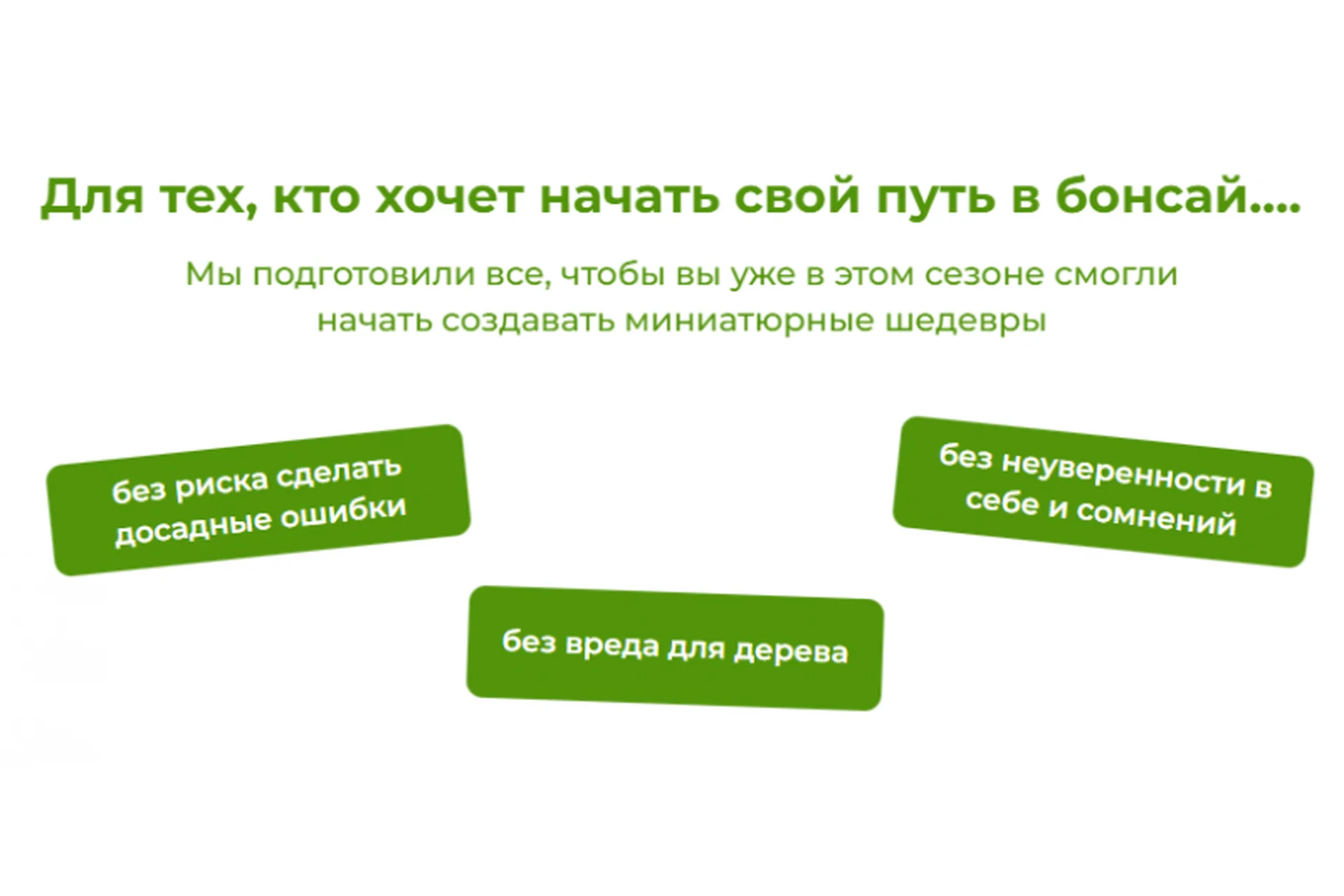 Бонсай своими руками. Пакет Будущий мастер (Андрей Дарусенков), фото 1 из 1.