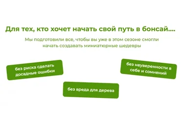 Бонсай своими руками. Пакет Будущий мастер (Андрей Дарусенков)