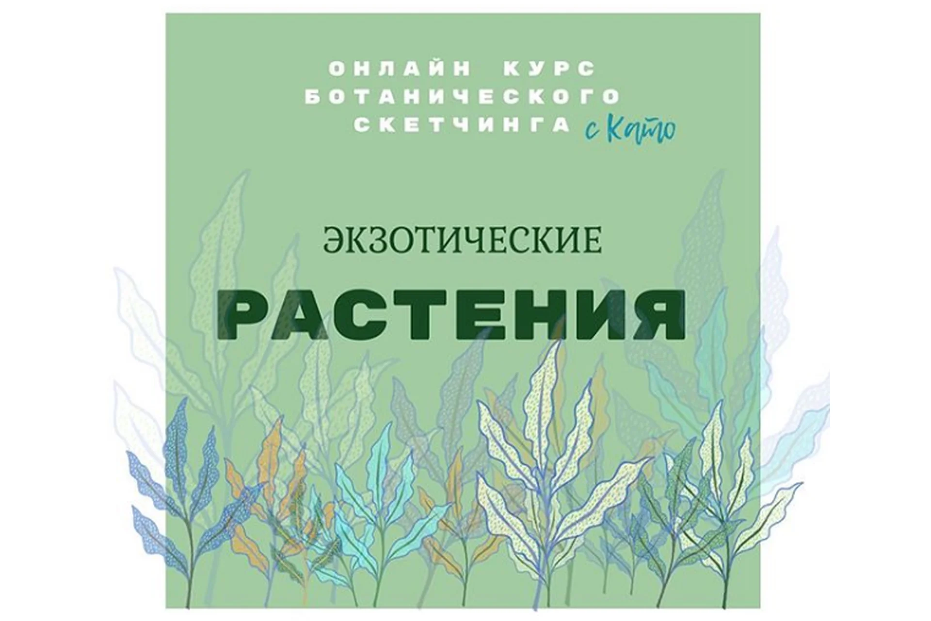 Ботанический скетчинг «Экзотические цветы» (Екатерина Kato Иванникова), фото 1 из 1.