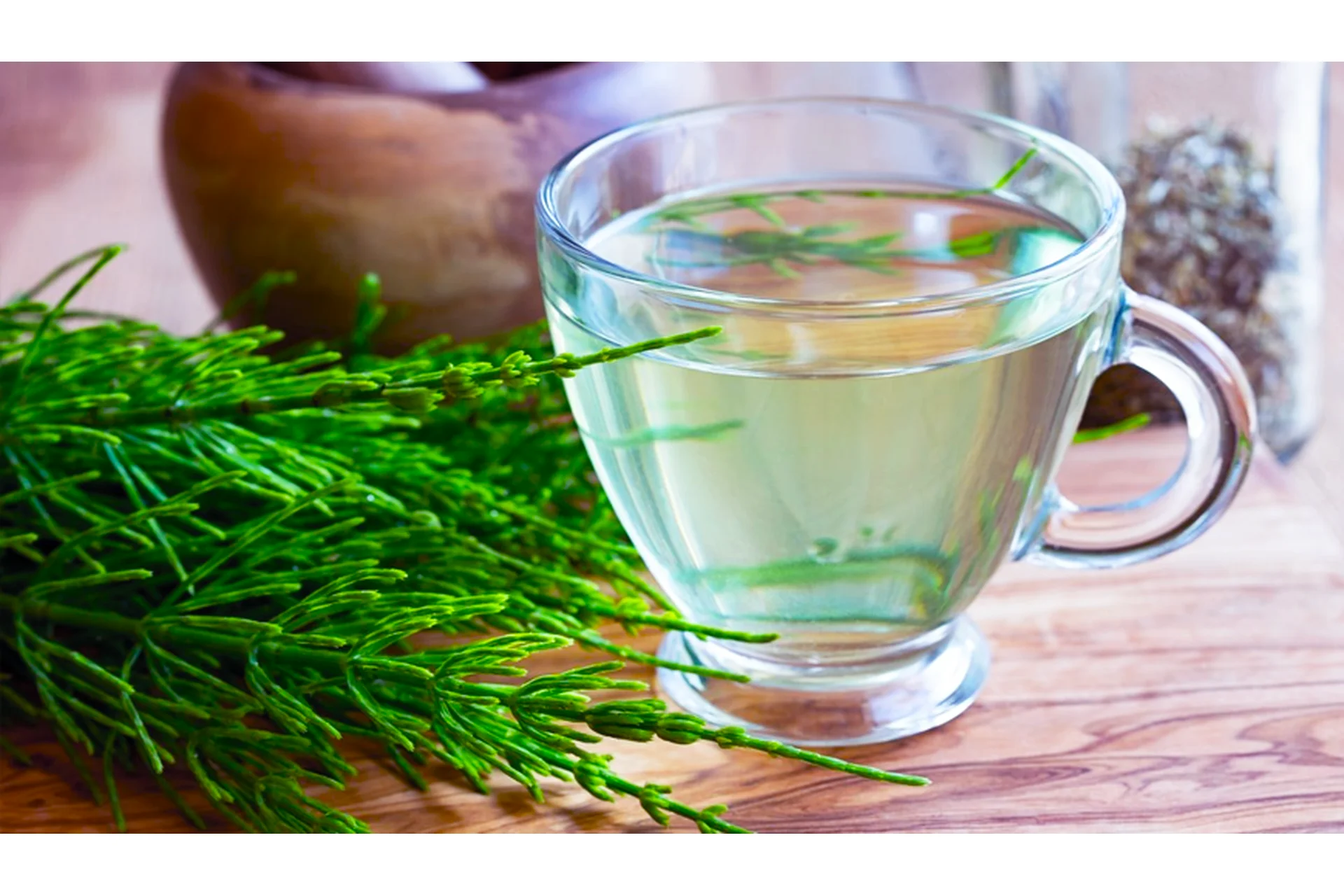 [Фитоведа] Фито и Ароматерапия суставов (Юлия Коршикова), фото 1 из 1.