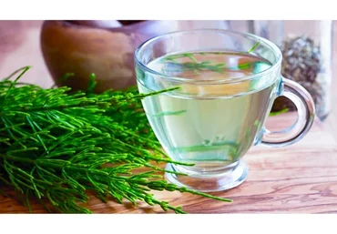 [Фитоведа] Фито и Ароматерапия суставов (Юлия Коршикова)