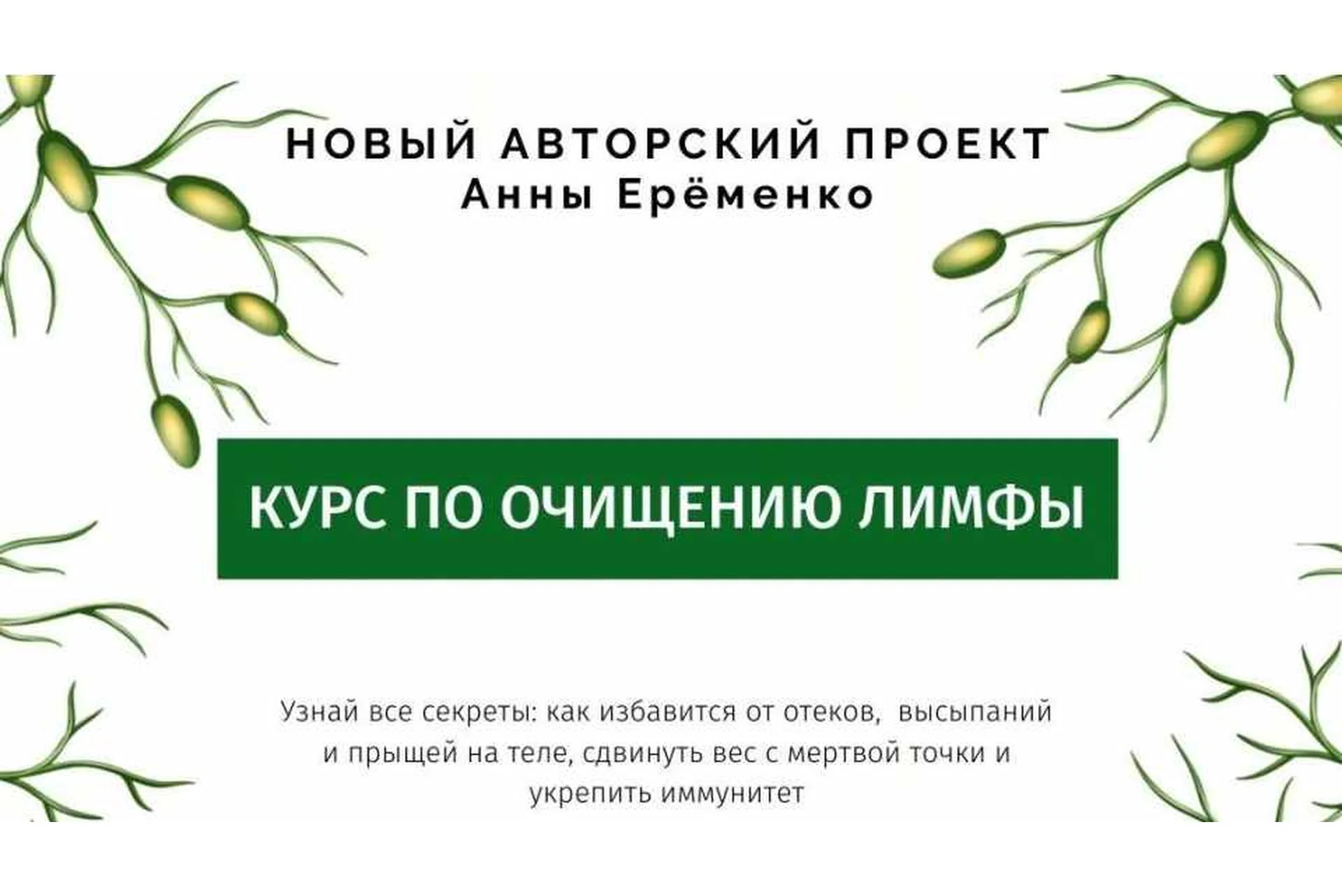 [wf.school] Курс по очищению лимфы, пакет «Лифма-Standart» (Анна Ерёменко), фото 1 из 1.