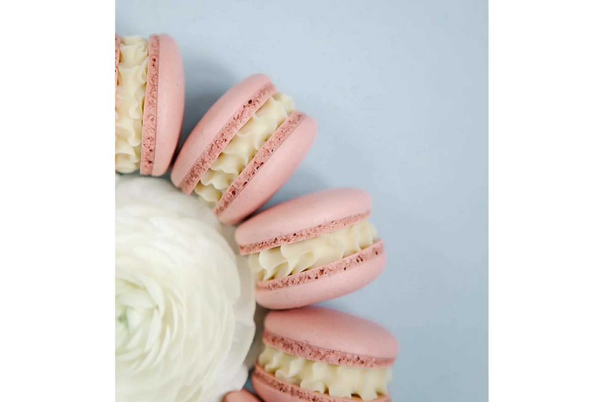 Начинки макарон, сборник 3 (Людмила Гуркова, nataliemereacre), фото 1 из 1.