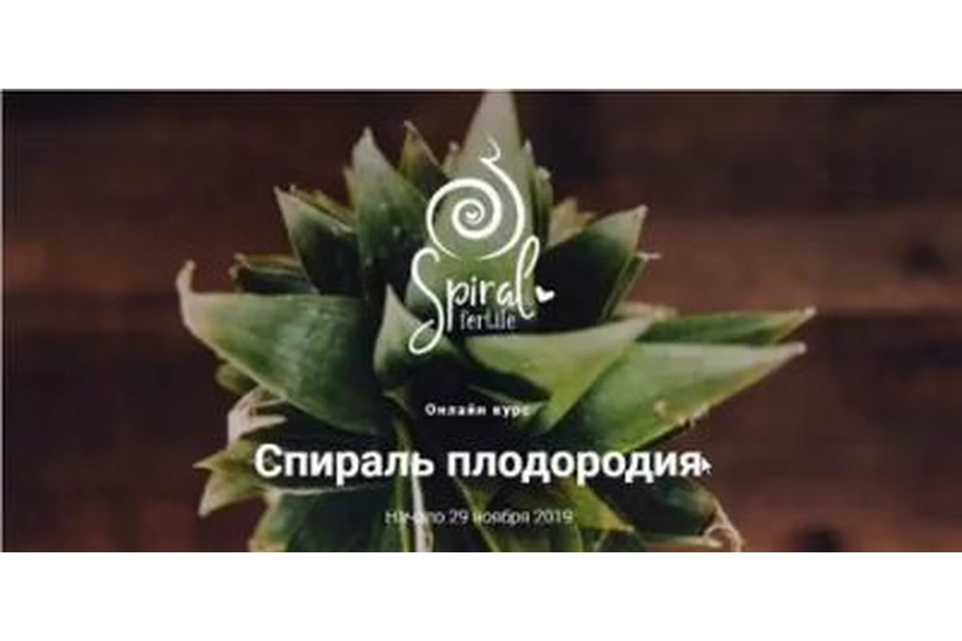 Спираль плодородия (Лиза Мока/ lizamoka_official), фото 1 из 1.