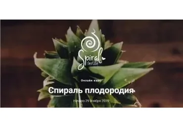 Спираль плодородия (Лиза Мока/ lizamoka_official)