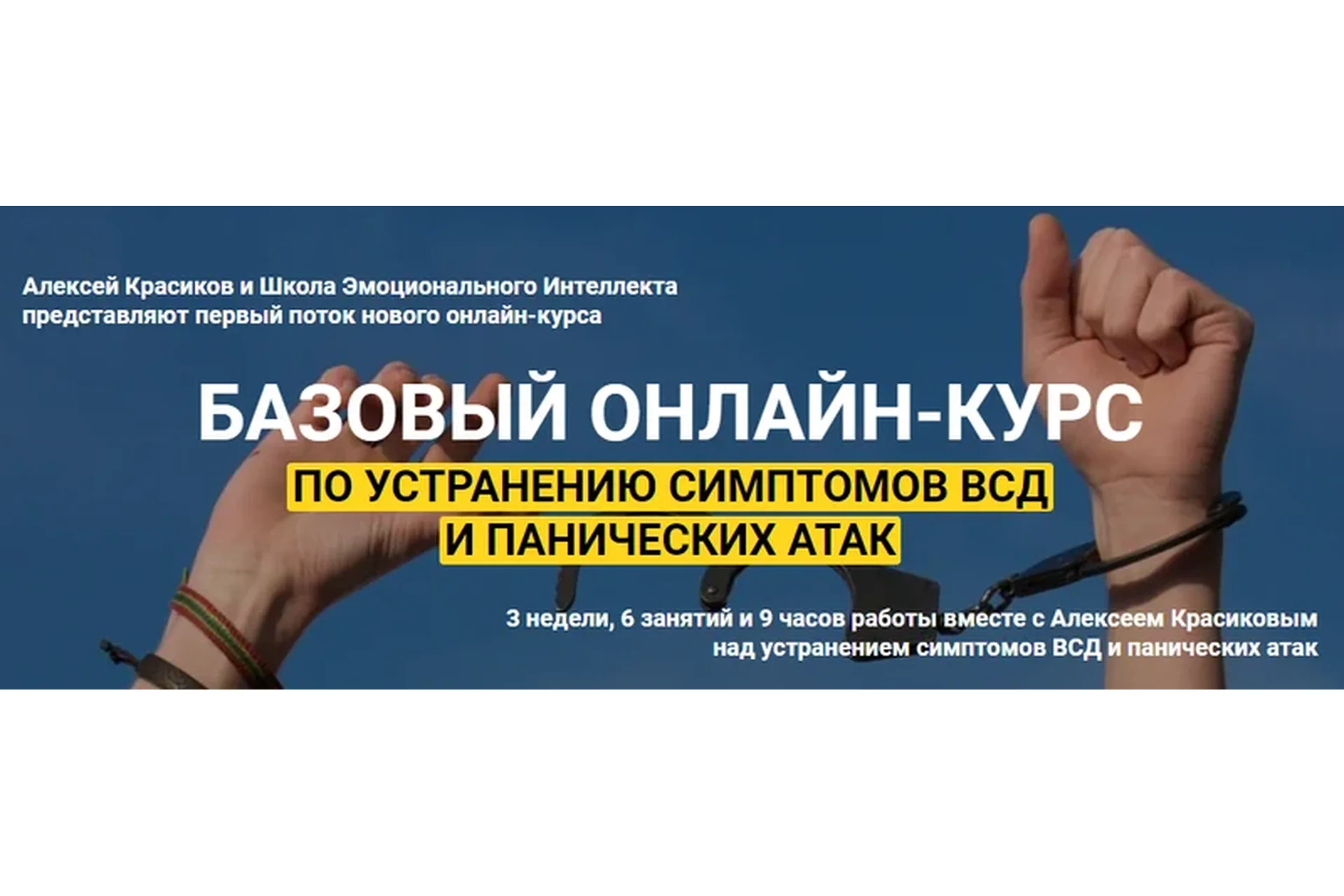 Базовый курс по устранению симптомов ВСД и панических атак (Алексей Красиков), фото 1 из 1.