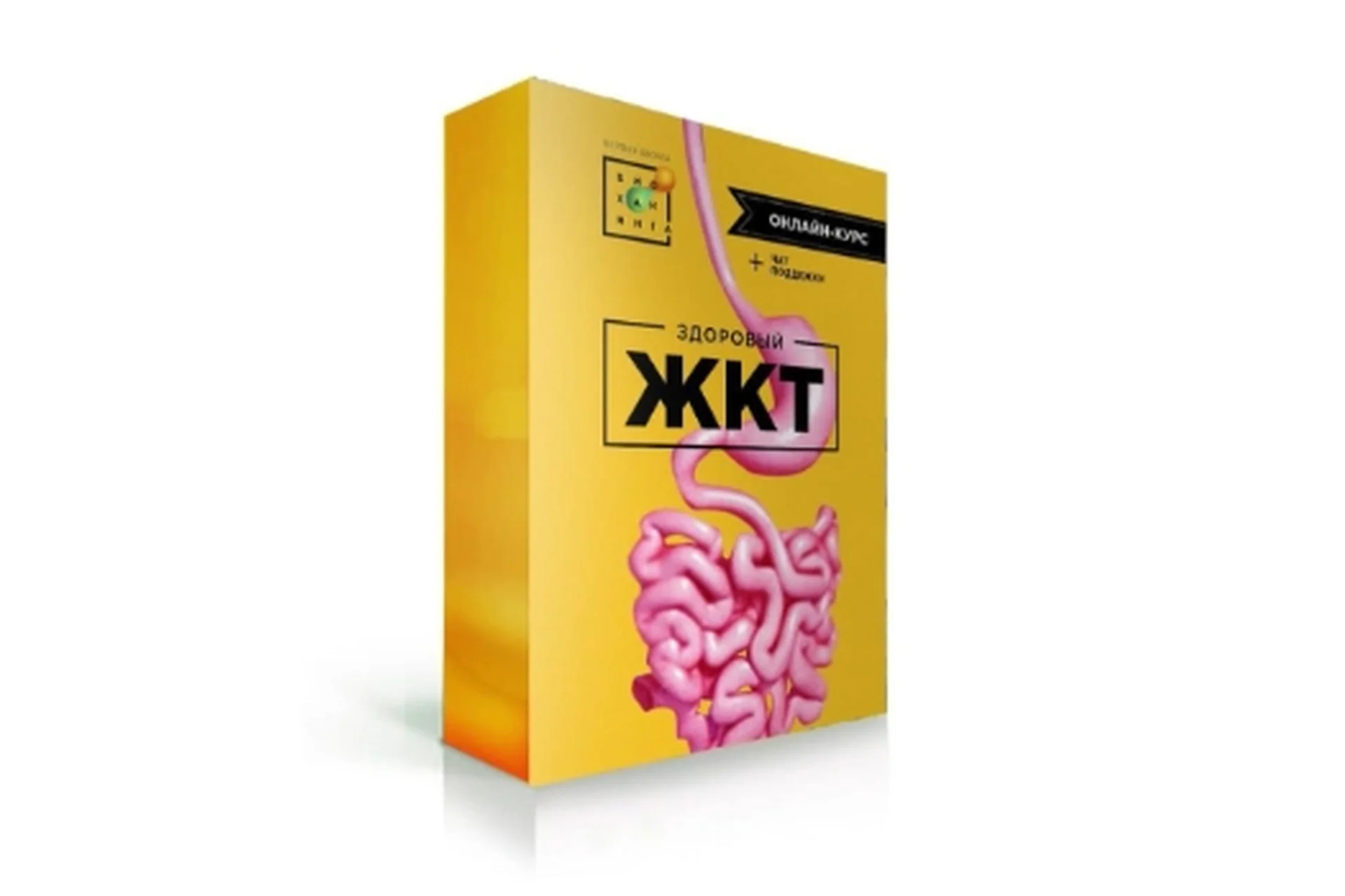 [Первая школа биохакинга] Здоровый ЖКТ 2.0. Тариф - без чата (Ирина Баранова, Татьяна Смольянинова), фото 1 из 1.