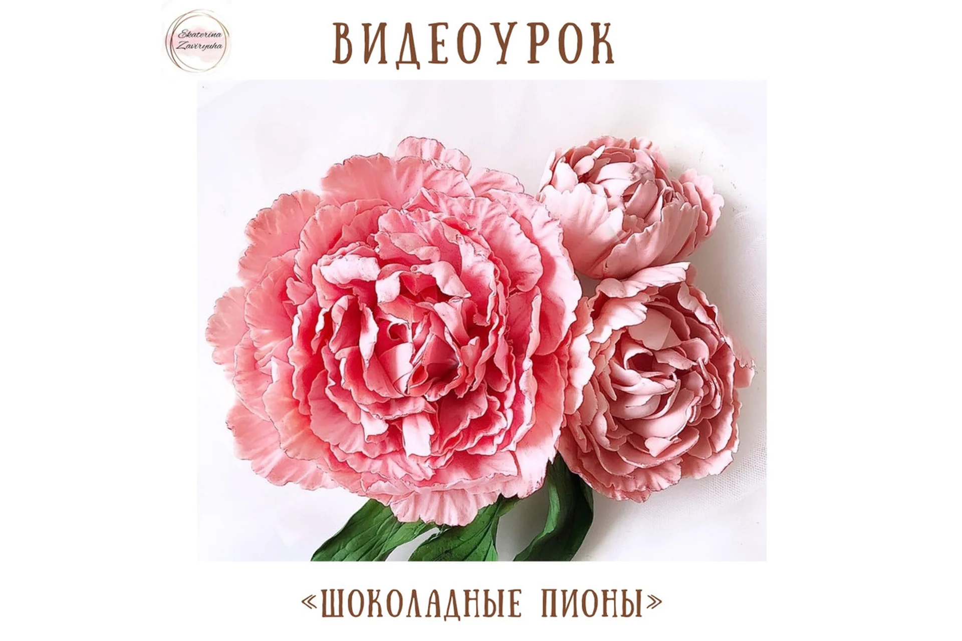 Видеоурок «Шоколадные пионы» (Екатерина Завирюха), фото 1 из 1.