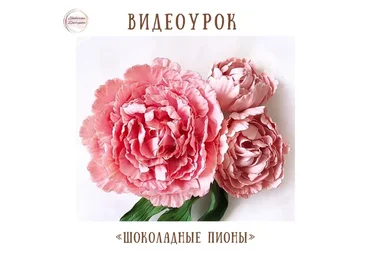 Видеоурок «Шоколадные пионы» (Екатерина Завирюха)