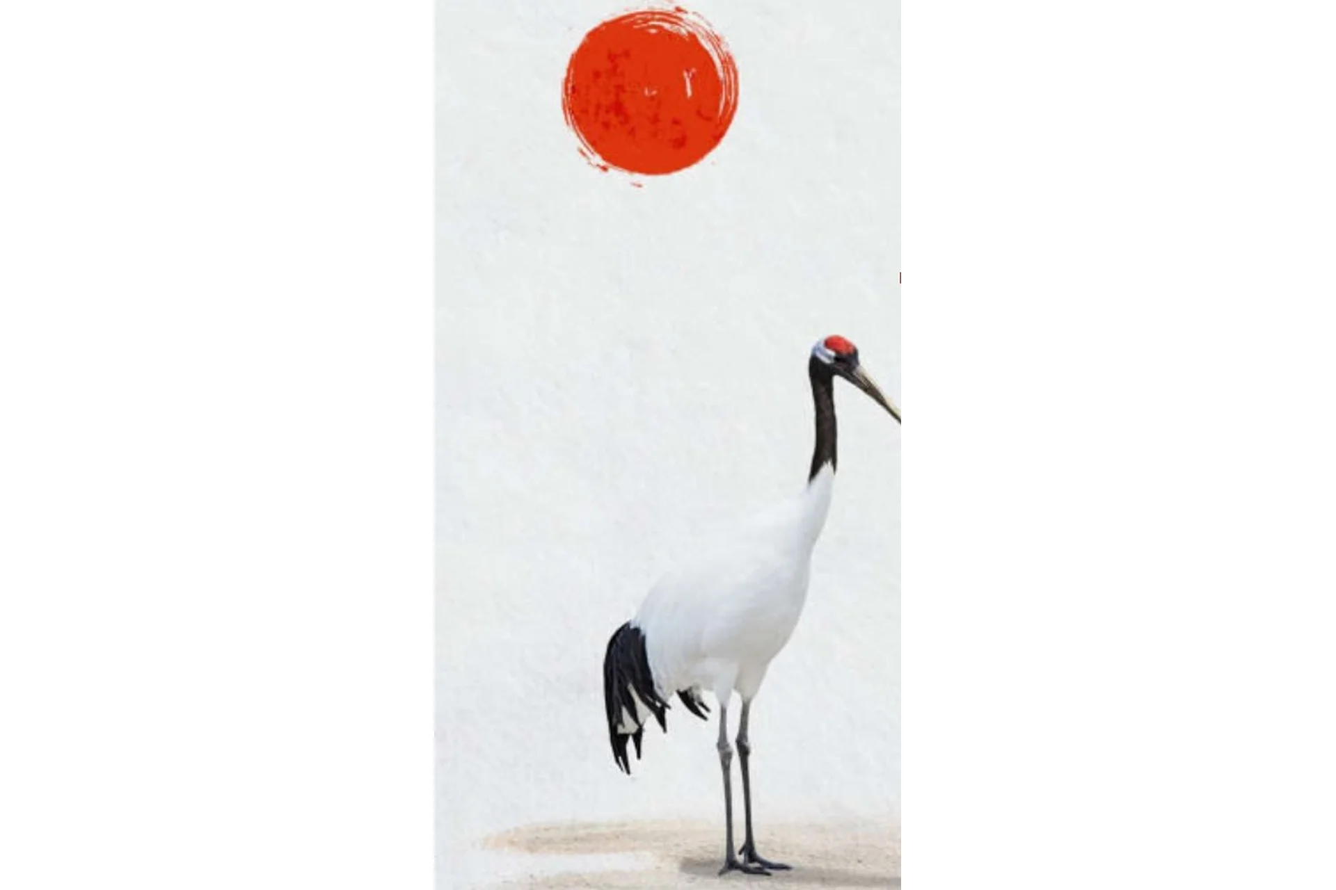 [Mindvalley] Денежный EQ: счастливые отношения с деньгами (Кен Хонда), фото 1 из 1.