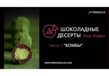 Бомбы (Эми Левин)