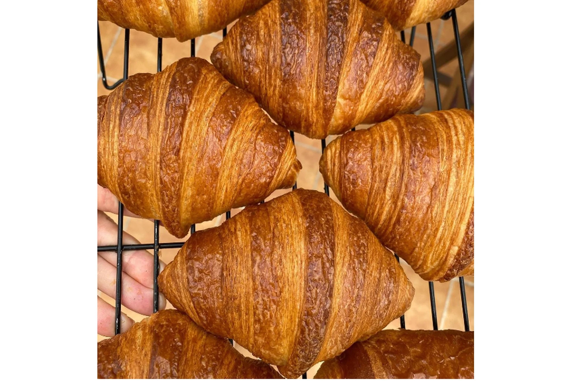 [katyaalex77] Курс по круассанам (Екатерина Алексеенко), фото 1 из 1.