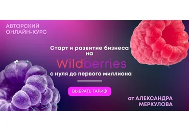 Старт и развитие бизнеса на Wildberries. Тариф Первые деньги (Александр Меркулов)