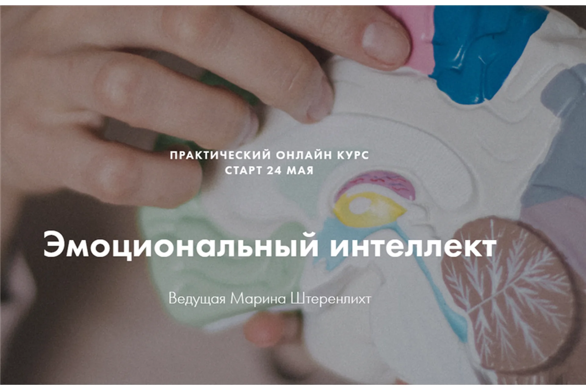 Эмоциональный интеллект. Пакет «Я только слушать» (Марина Штеренлихт, Анастасия Суздальцева), фото 1 из 1.