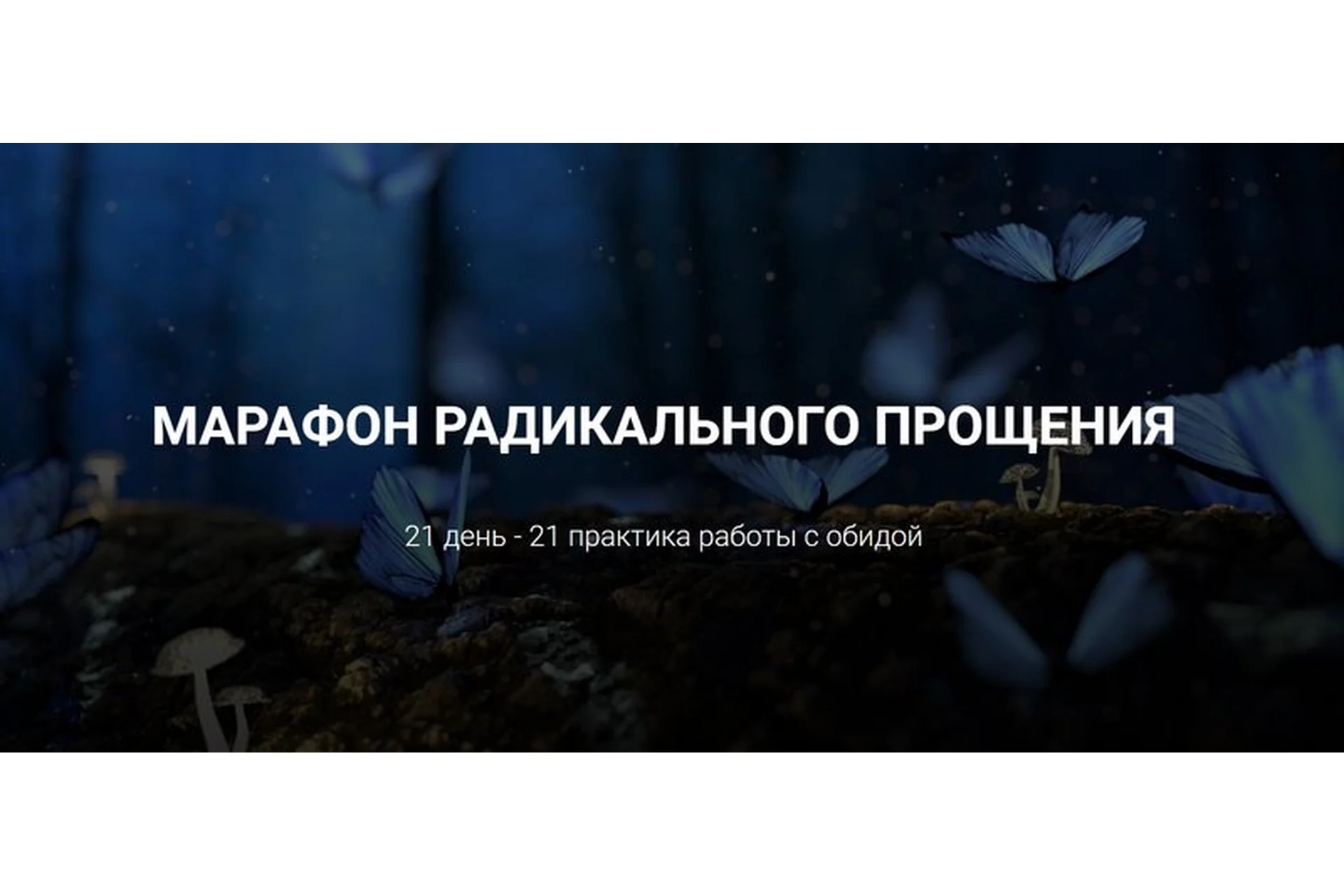 Марафон радикального прощения (Ирина Хмелевская), фото 1 из 1.