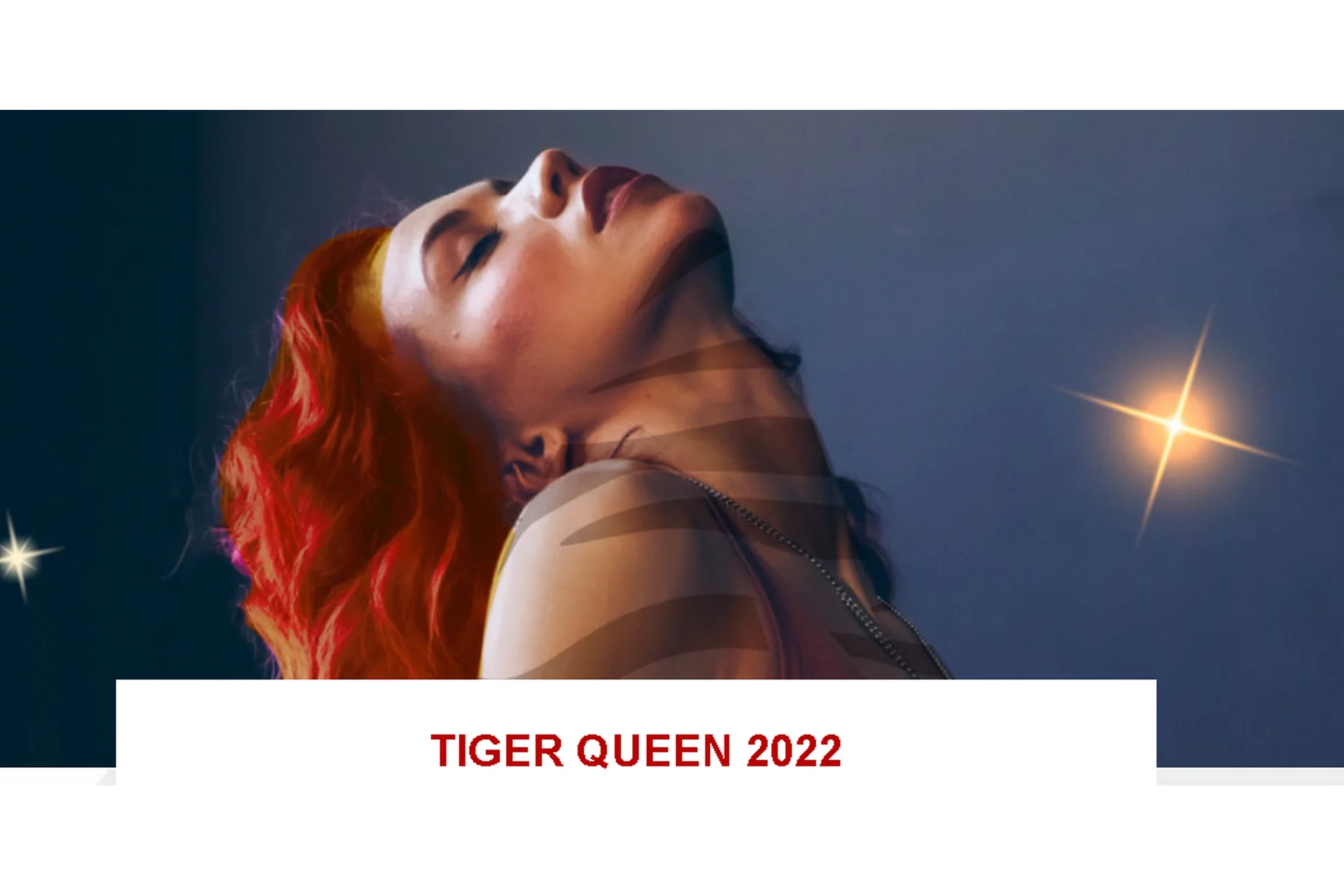 [SenseMeDance] Tiger Queen 2022. Доступ 6 месяцев, фото 1 из 1.