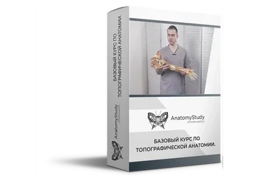 Топографическая анатомия. Базовый курс (Сергей Скворцов)