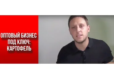 Оптовый бизнес под ключ: картофель, 2018 (Артем Бахтин, Вадим Зайцев)