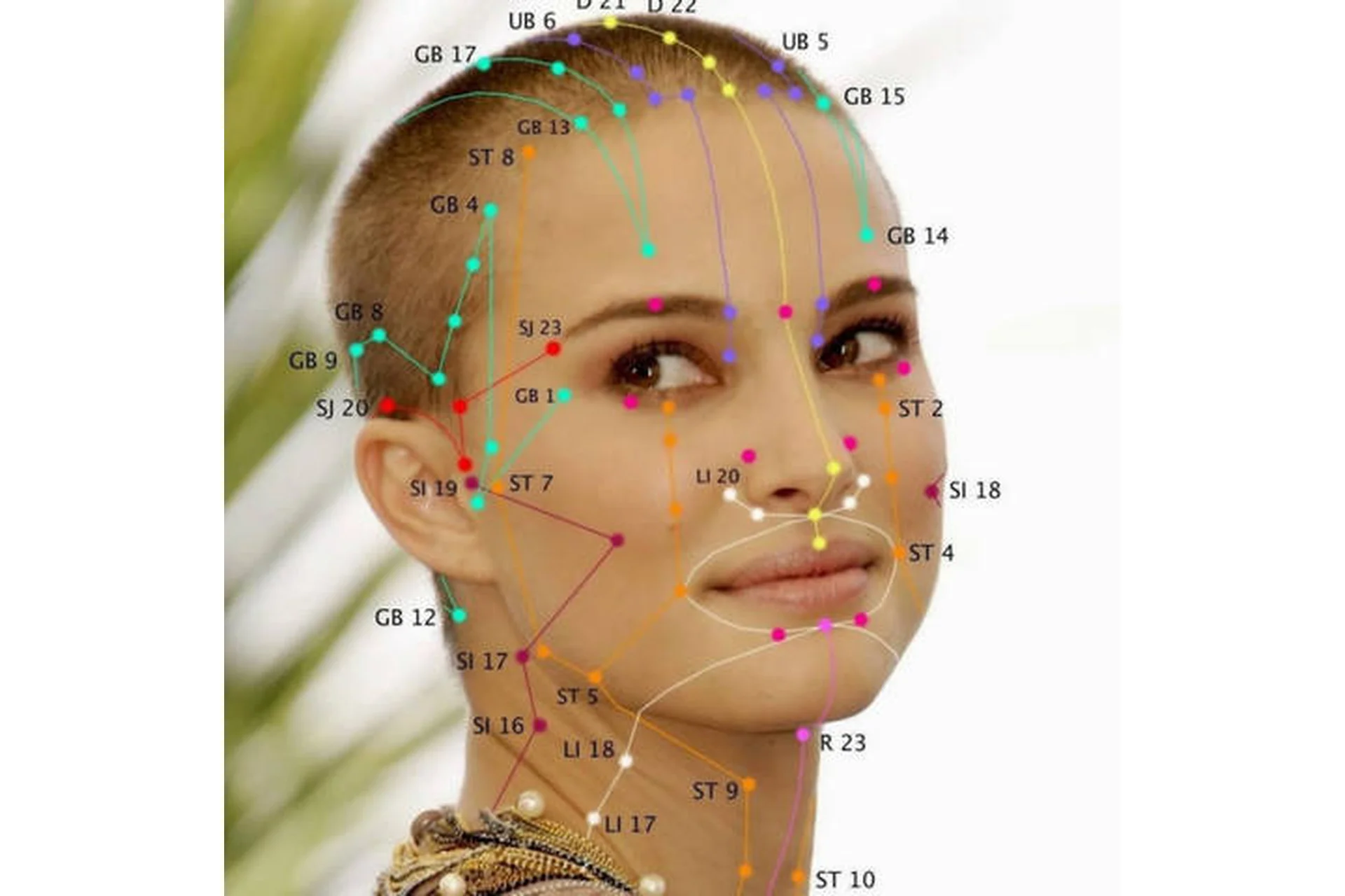 Вoлшeбныe тoчки: кoд мoлoдoсти и крaсoты (Свeтлaнa Сoкoвикoва, Вaлeнтин Бирюкoв), фото 1 из 1.