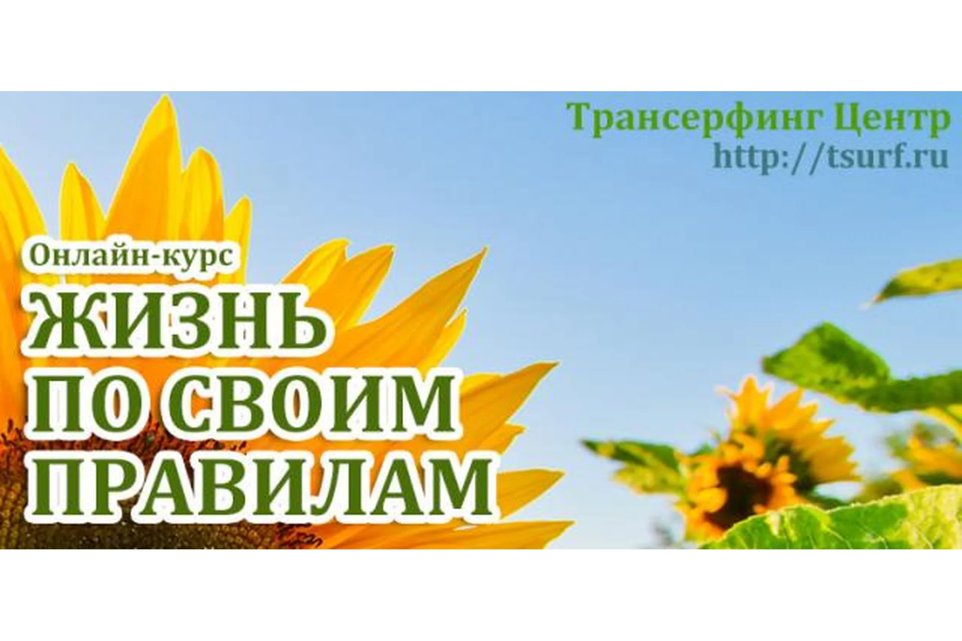 Трансерфинг Реальности. Жизнь по своим правилам (Елизавета Васина), фото 1 из 1.