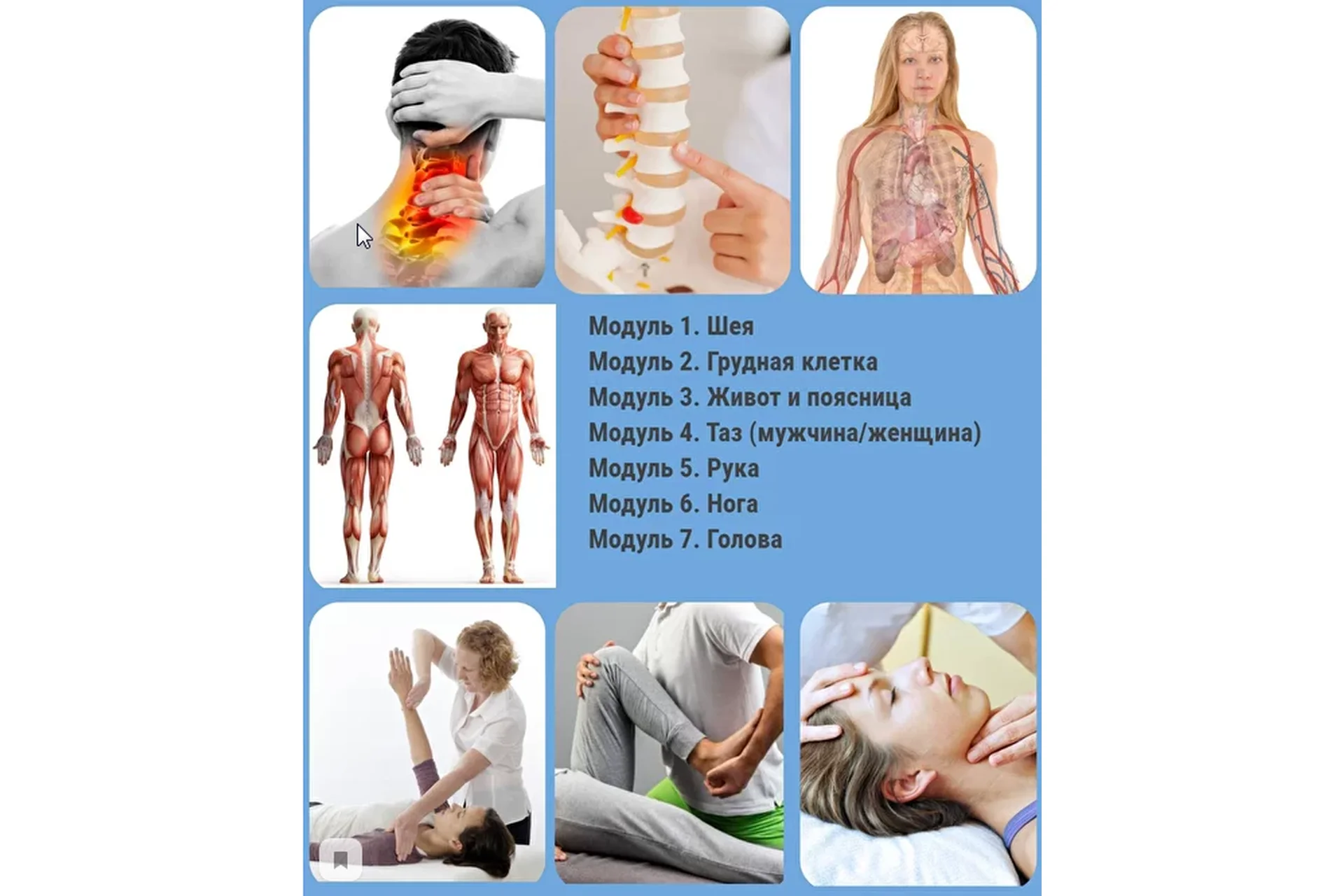 Остеопатия и мануальная терапия: функциональные техники (Александр Избаш), фото 1 из 1.