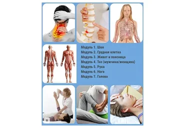 Остеопатия и мануальная терапия: функциональные техники (Александр Избаш)