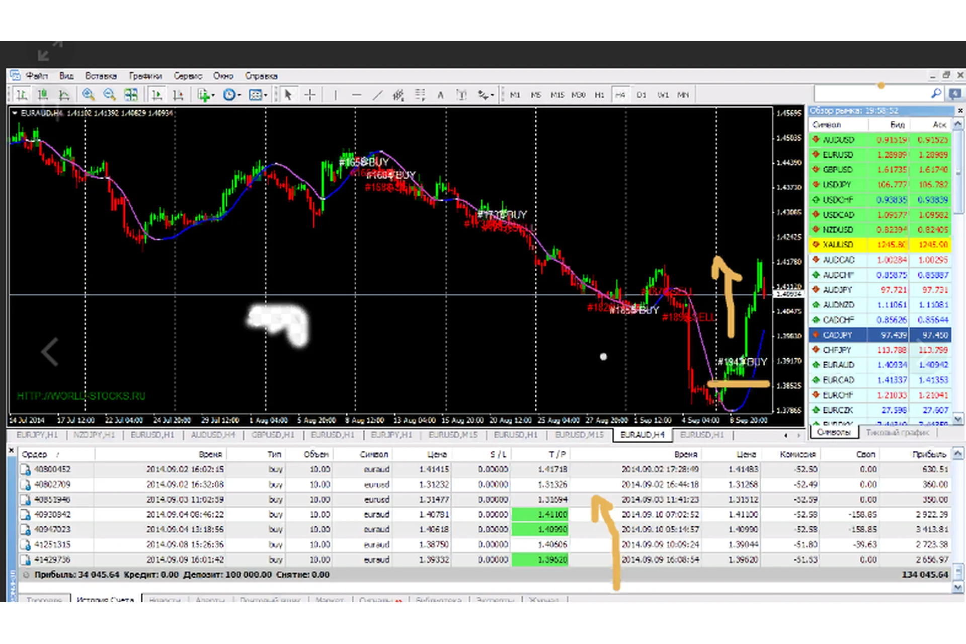 Профессиональная Форекс торговля. Пакет VIP. 2015, фото 1 из 1.