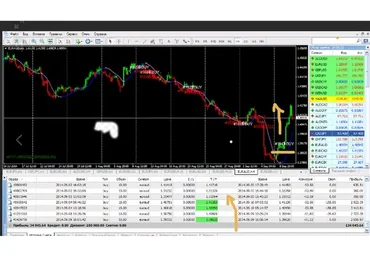 Профессиональная Форекс торговля. Пакет VIP. 2015