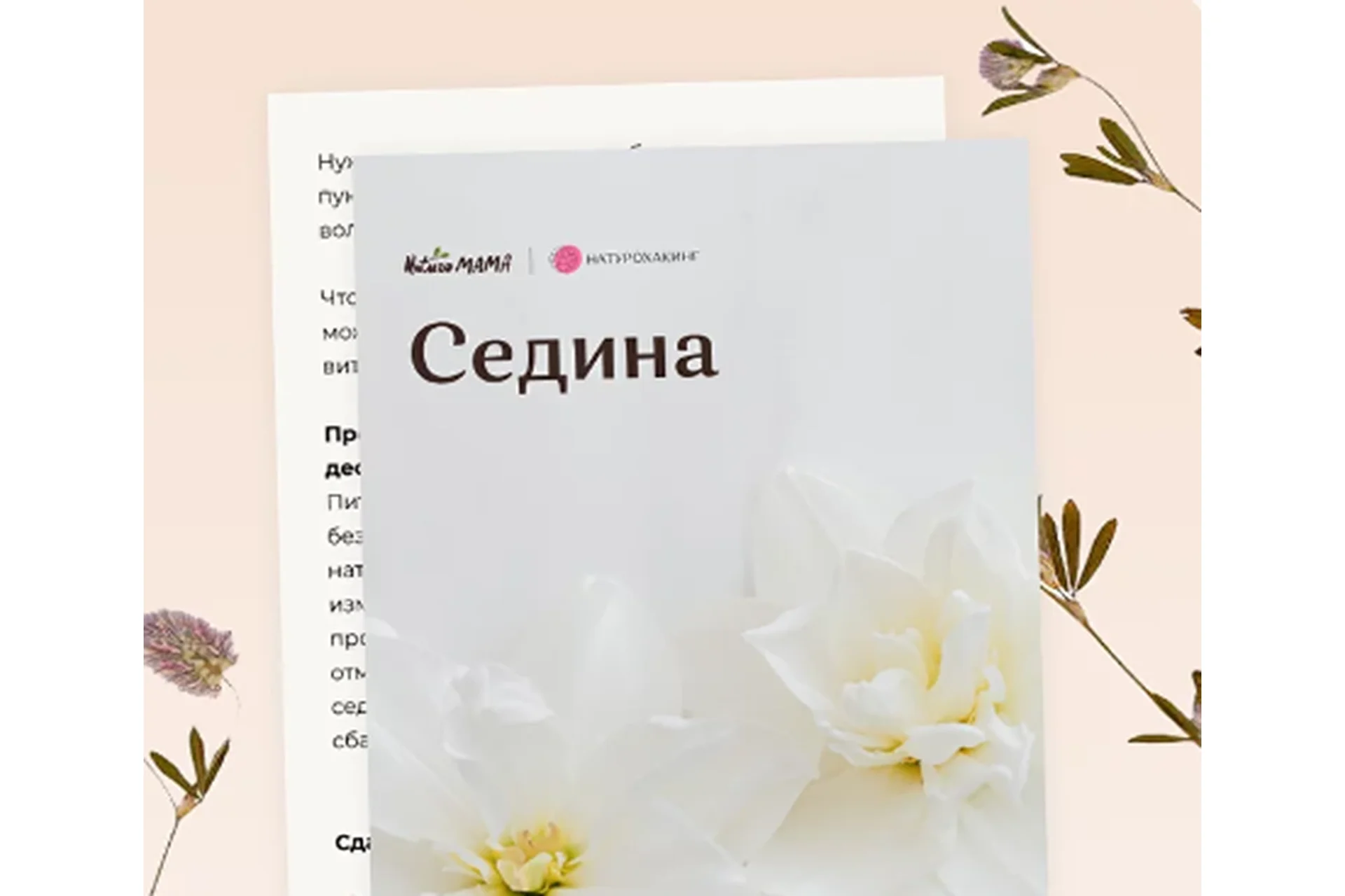 Протокол для избавления от седины (Вероника Хуснутдинова), фото 1 из 1.