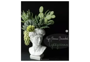 Суккуленты (Евгения Волосова)