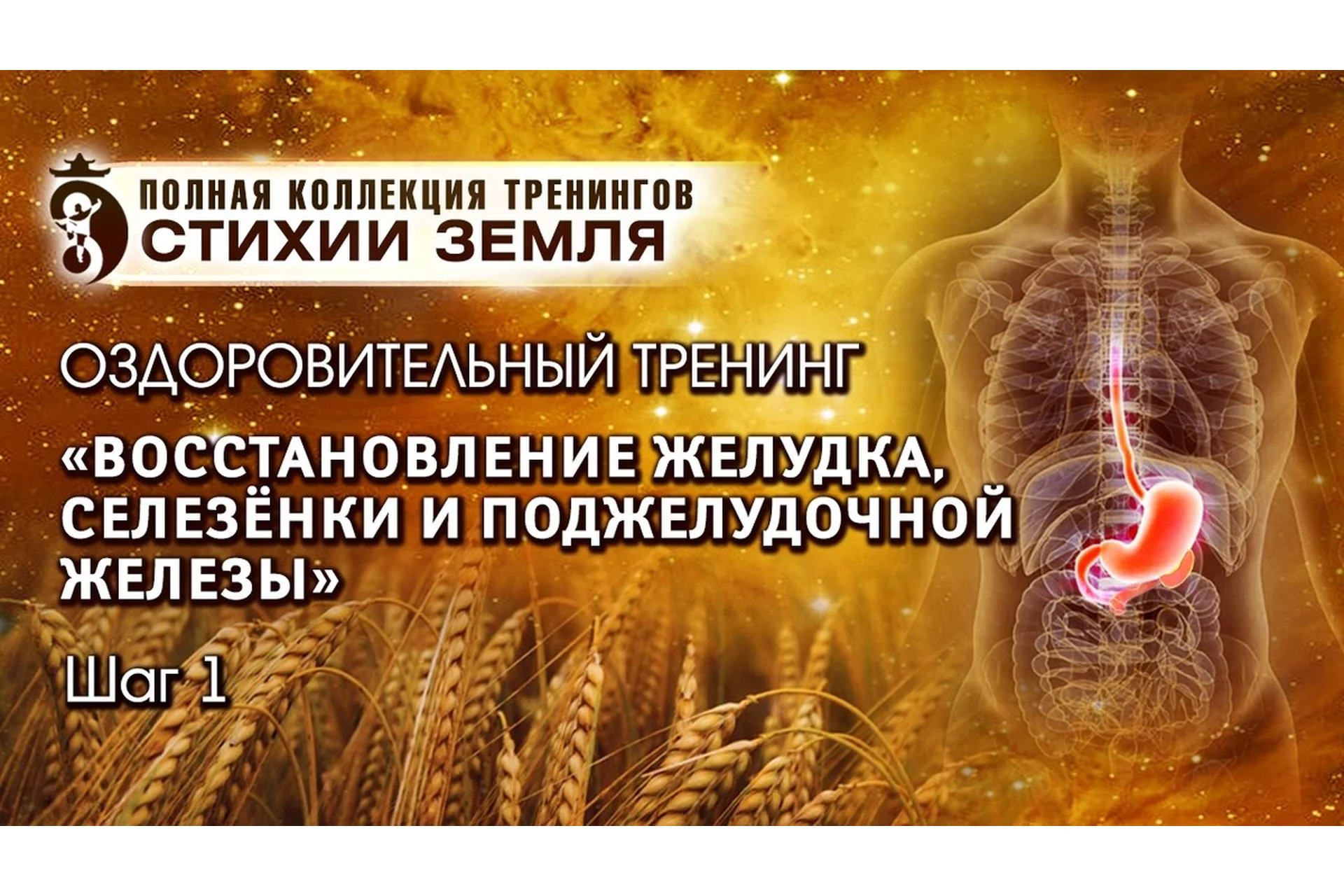 Восстановление желудка, селезенки и поджелудочной железы. Стихия Земля Шаг №1. Вип (Владимир Осипов), фото 1 из 1.