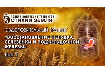 Восстановление желудка, селезенки и поджелудочной железы. Стихия Земля Шаг №1. Вип (Владимир Осипов)