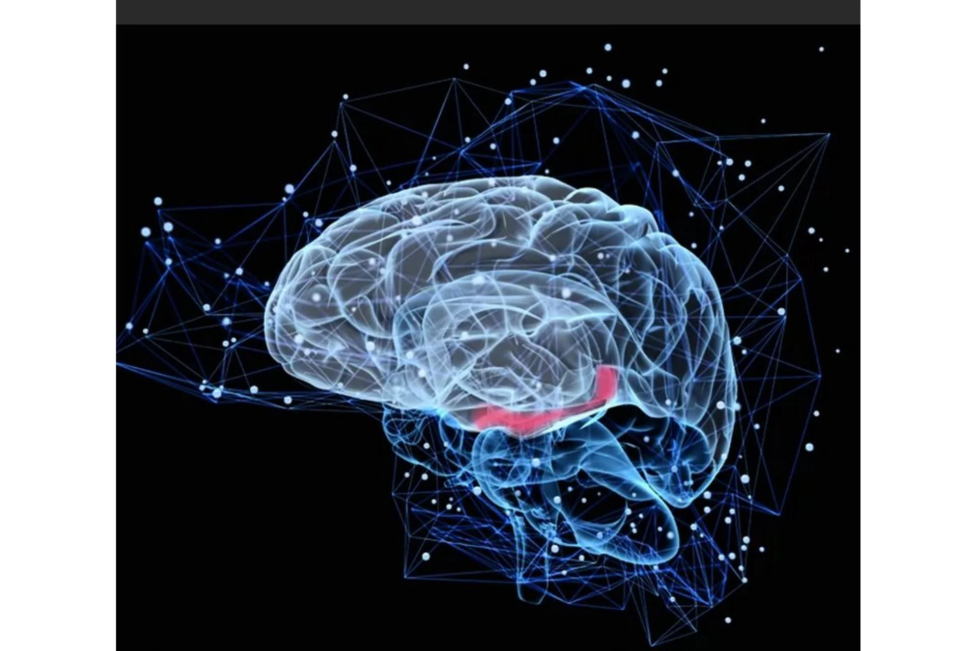 [МИГИП] Нейробиология психотерапии, фото 1 из 1.