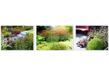 [Сад по-новому] Дымки — модные акценты для цветника. Виды и сорта (Наталья Мягкова)