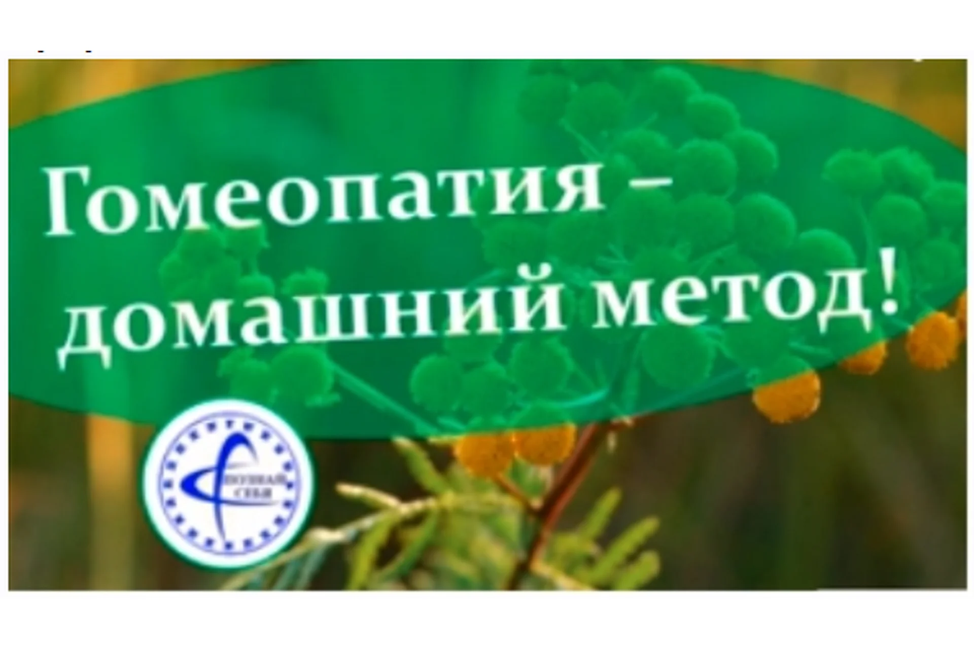 Гомеопатия - домашний метод! (Владимир Заворотный), фото 1 из 1.