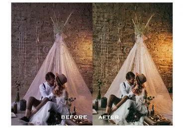 Mega Pack - Пресеты для Lightroom и Adobe Camera RAW (Дарья Булавина)