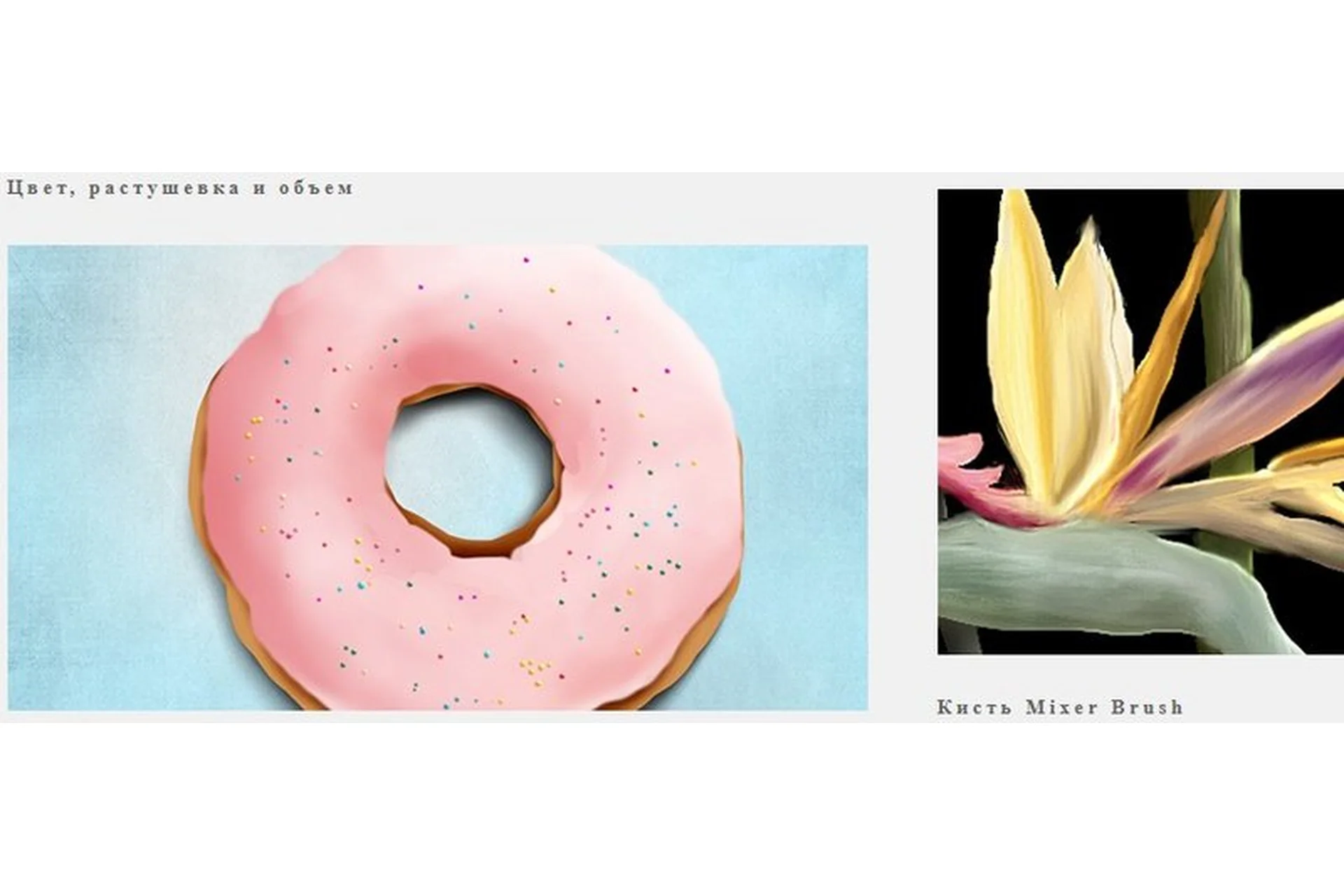 [Юниверс] Цифровое творчество. Графические планшеты, Photoshop & Illustrator (Александр Сераков), фото 1 из 1.