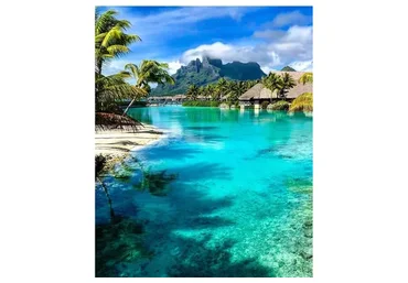 [Школа морского пейзажа] Тропический рай. Пакет Киви (Дмитрий Роза)