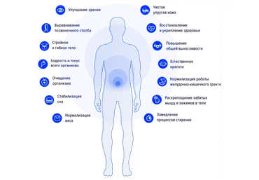 Практический онлайн курс по йоге (Игорь Ковалев)