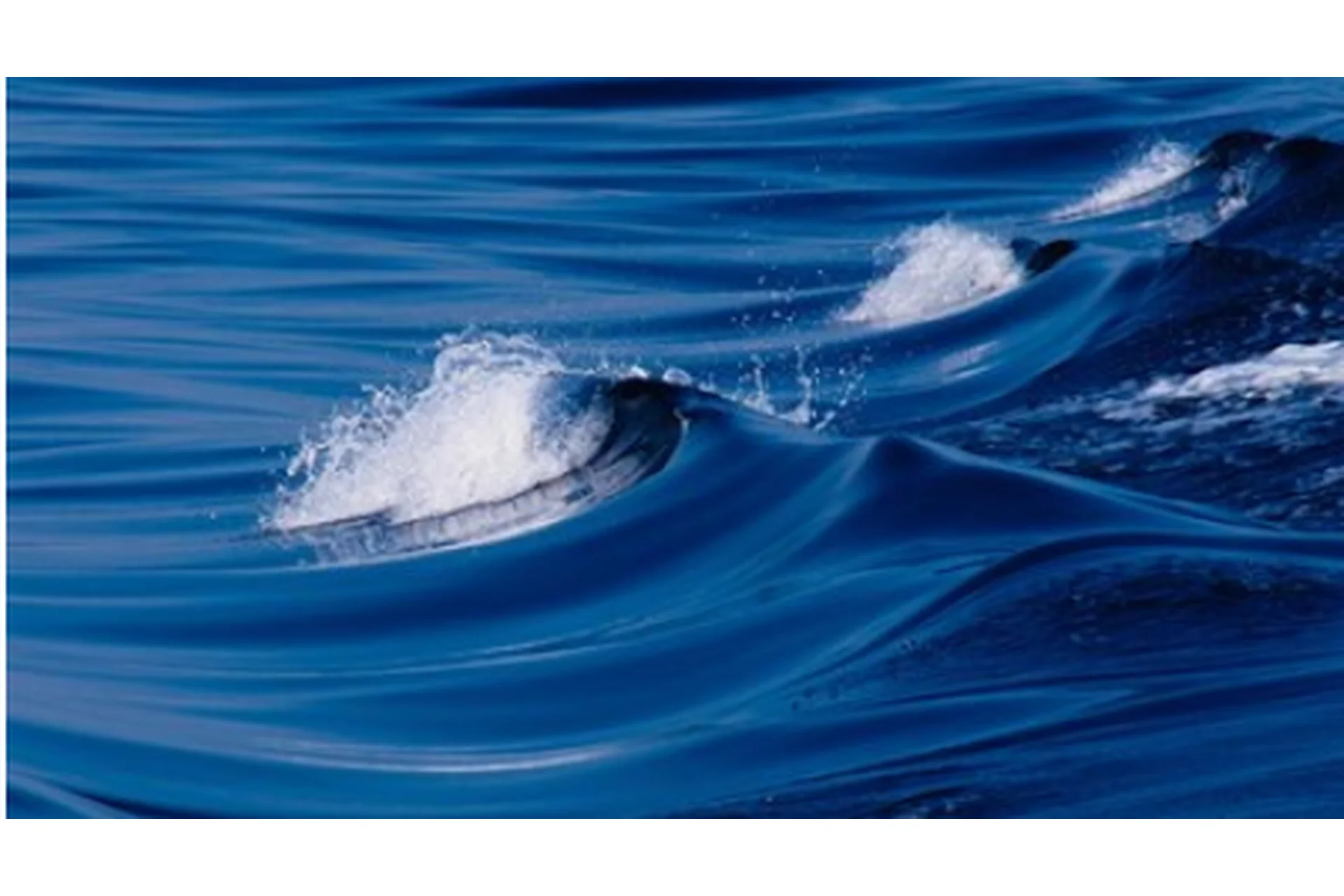 [Школа морского пейзажа] Релакс (Дмитрий Роза), фото 1 из 1.