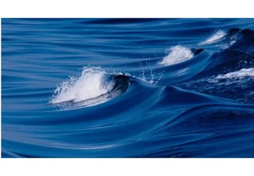 [Школа морского пейзажа] Релакс (Дмитрий Роза)