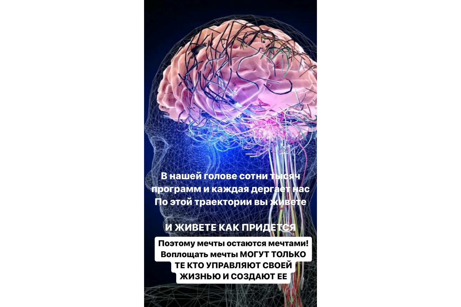 Создание нейронных связей (Светлана Миронюк), фото 1 из 1.