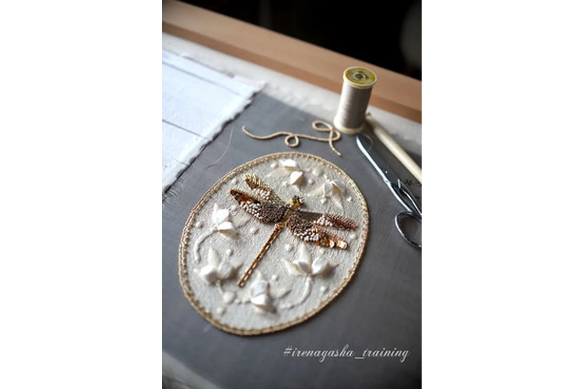 Стрекоза. Обучение ручной вышивке (Ирена Гаша), фото 1 из 1.