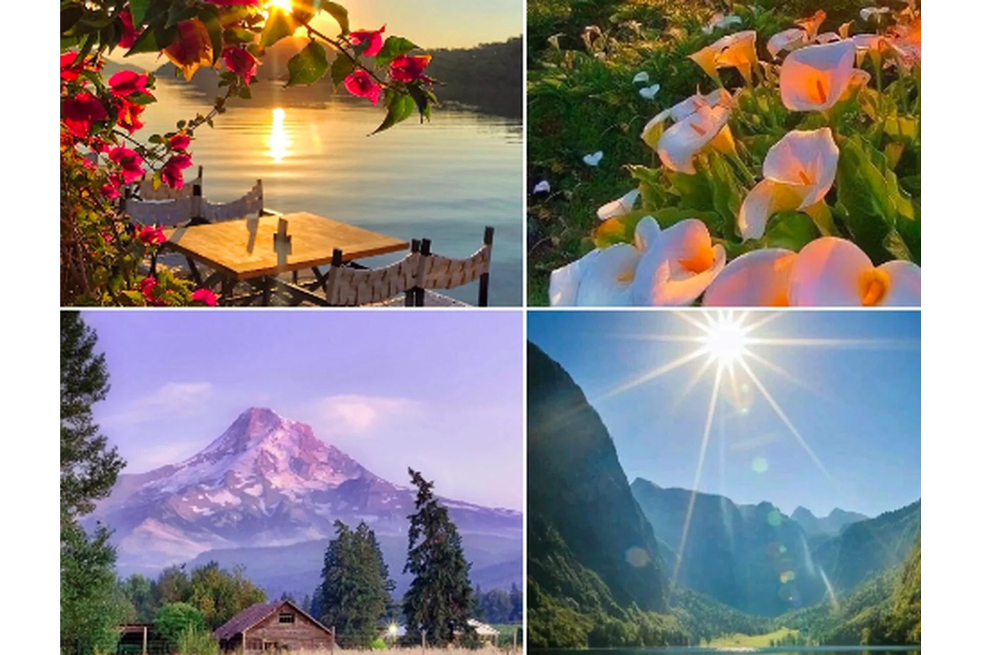 [Студия живописи] Тёплые пейзажи. Тариф Необходимый минимум (Ольга Базанова), фото 1 из 1.