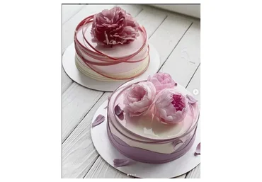 [kasadelika] 12 рецептов муссовых тортов