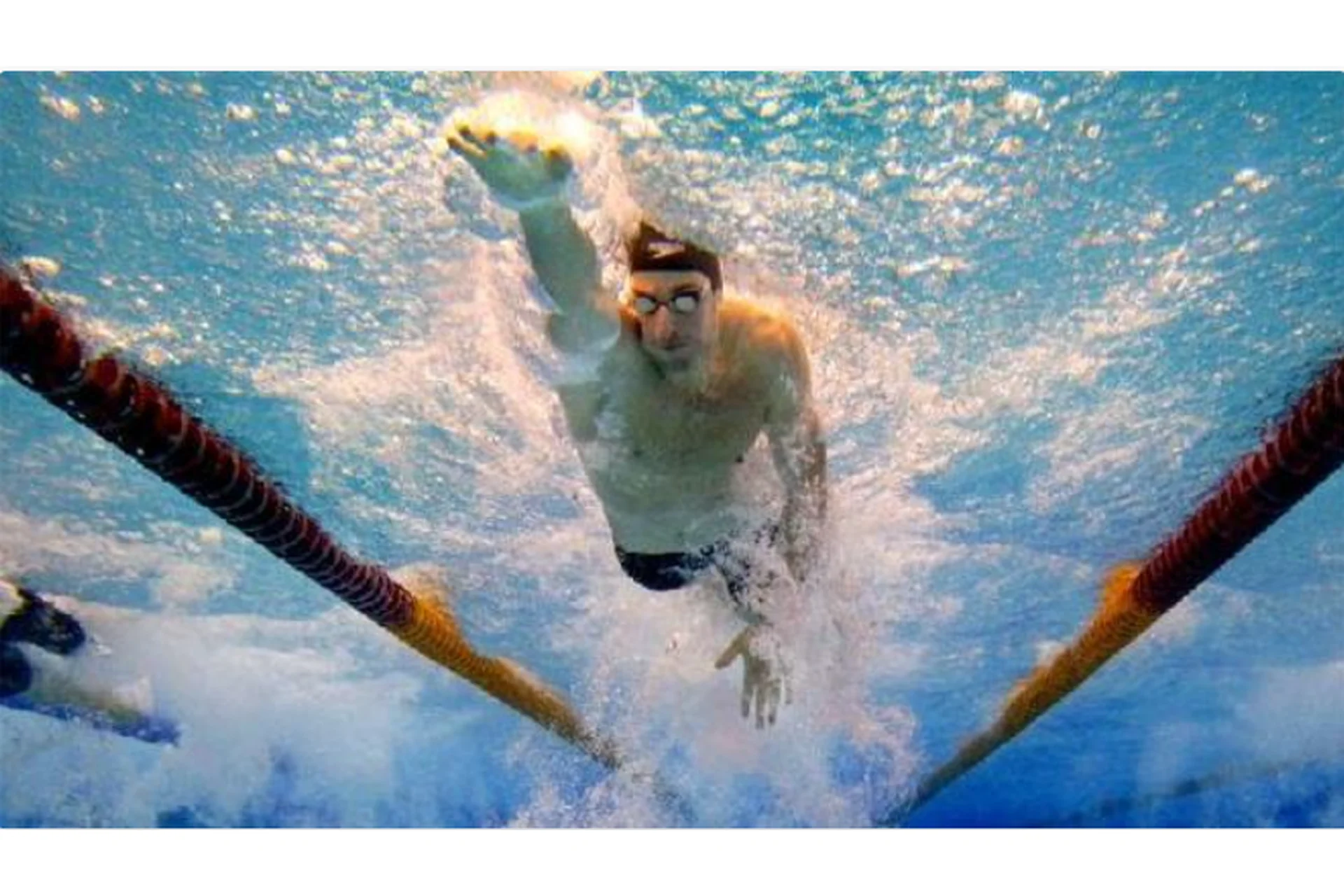 Курс обучения плаванию кролем (Евгений и Алексей Лихобабины), фото 1 из 1.