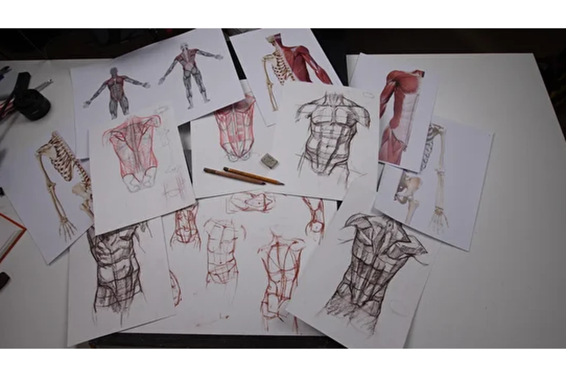 [Художник Online] Пластическая анатомия 2021 Без обратной связи (Екатерина Бердюгина, Роман Круглов), фото 1 из 1.