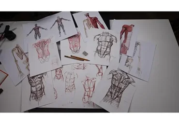 [Художник Online] Пластическая анатомия 2021 Без обратной связи (Екатерина Бердюгина, Роман Круглов)