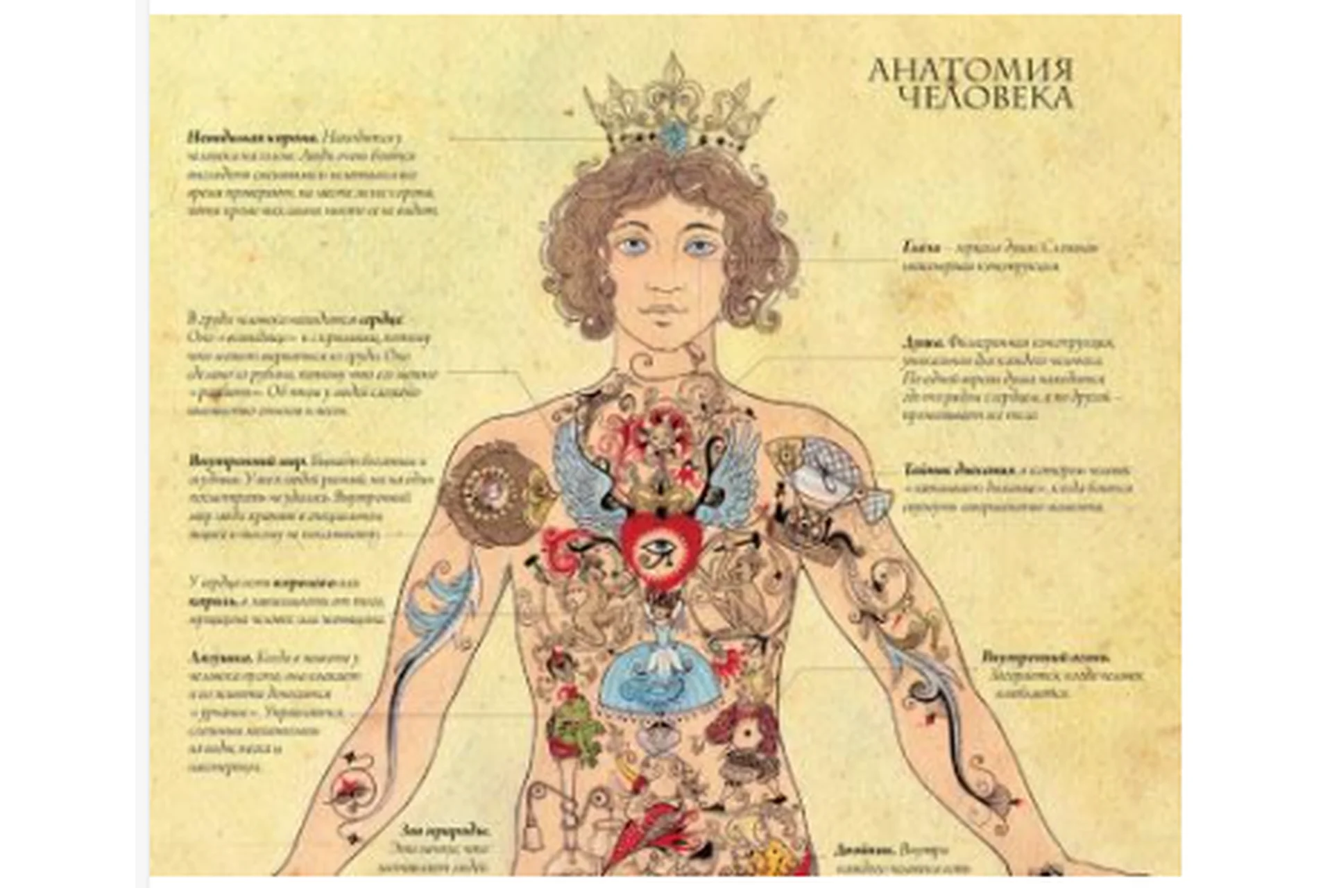 Оккультная анатомия. 1 часть (Велимира), фото 1 из 1.