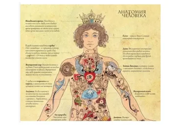 Оккультная анатомия. 1 часть (Велимира)